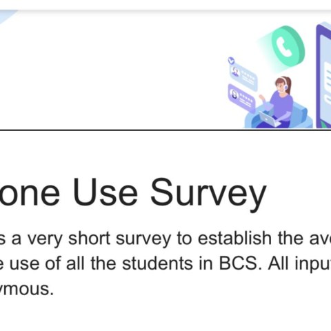 Phone Use Survey